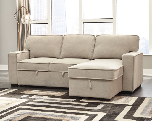 Darton 2-Piece Sleeper Sectional with Storage